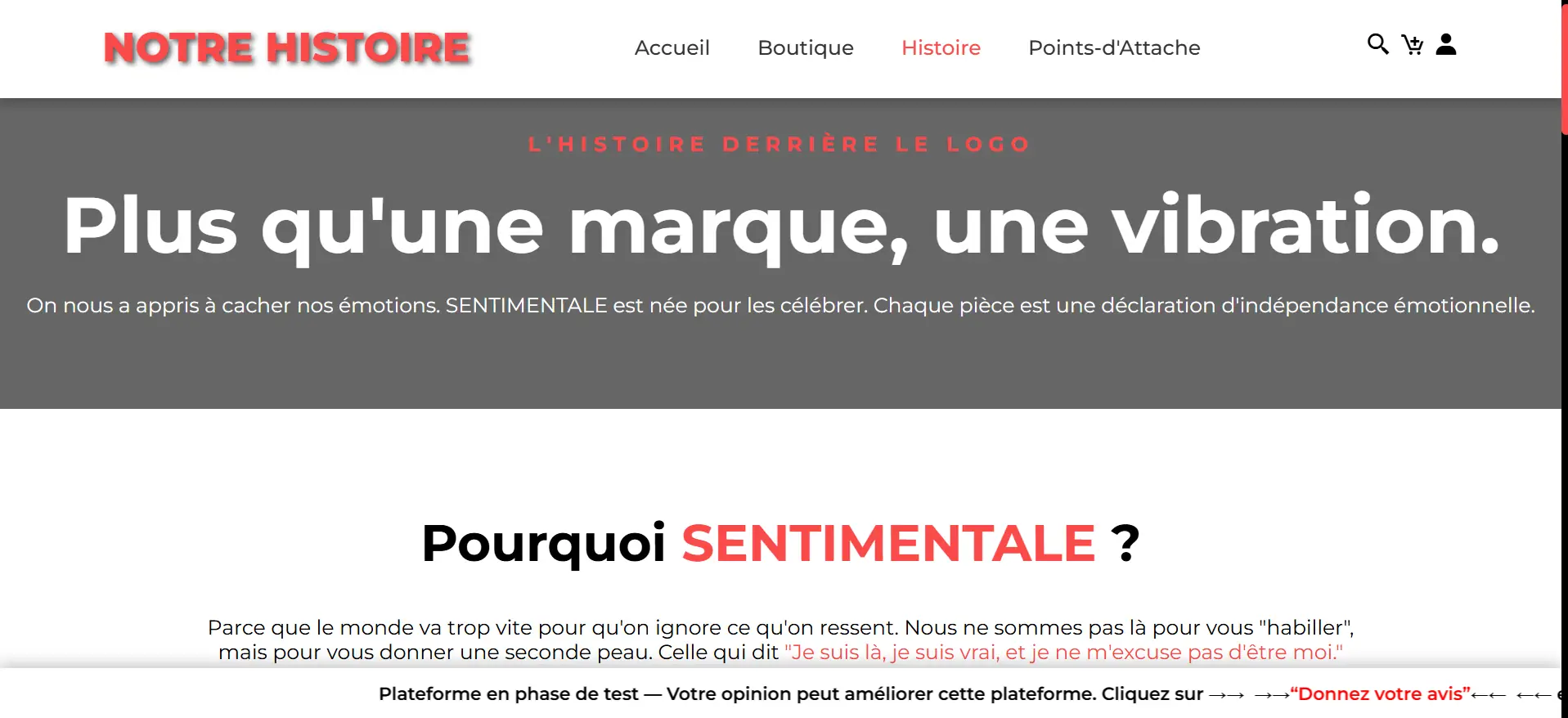 images du projet SENTIMENTALE — E-Commerce 